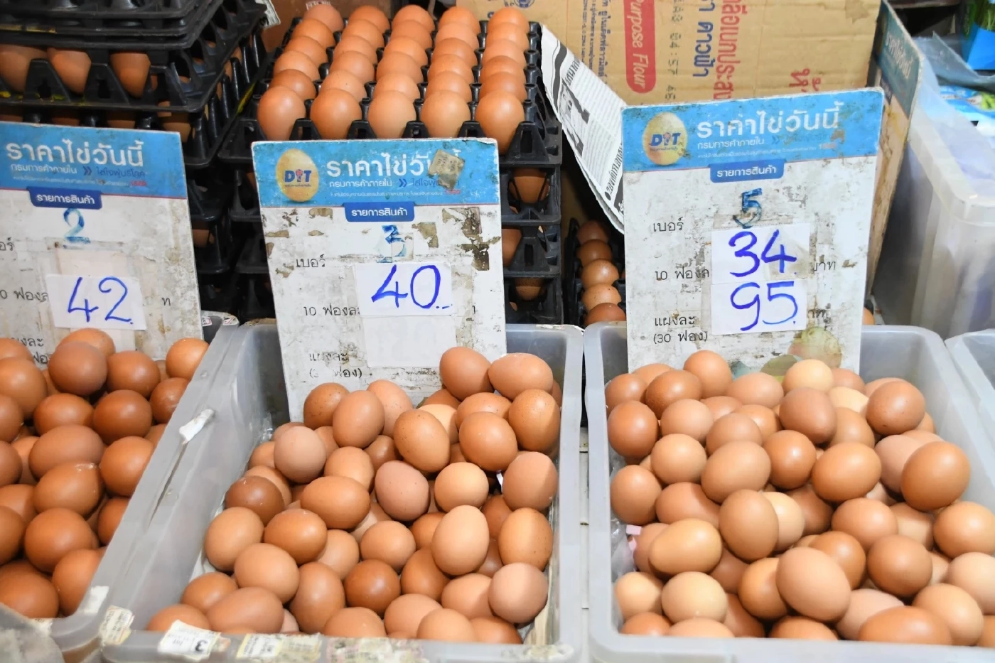 สถานการณ์ราคาไข่ไก่