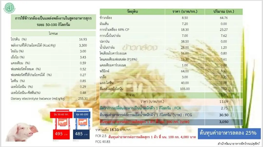 "รัสเซีย-ยูเครน"สู้รบ กระทบอาหารสัตว์ ปศุสัตว์ร่วมถกหาแนวทางพร้อมรับมือ