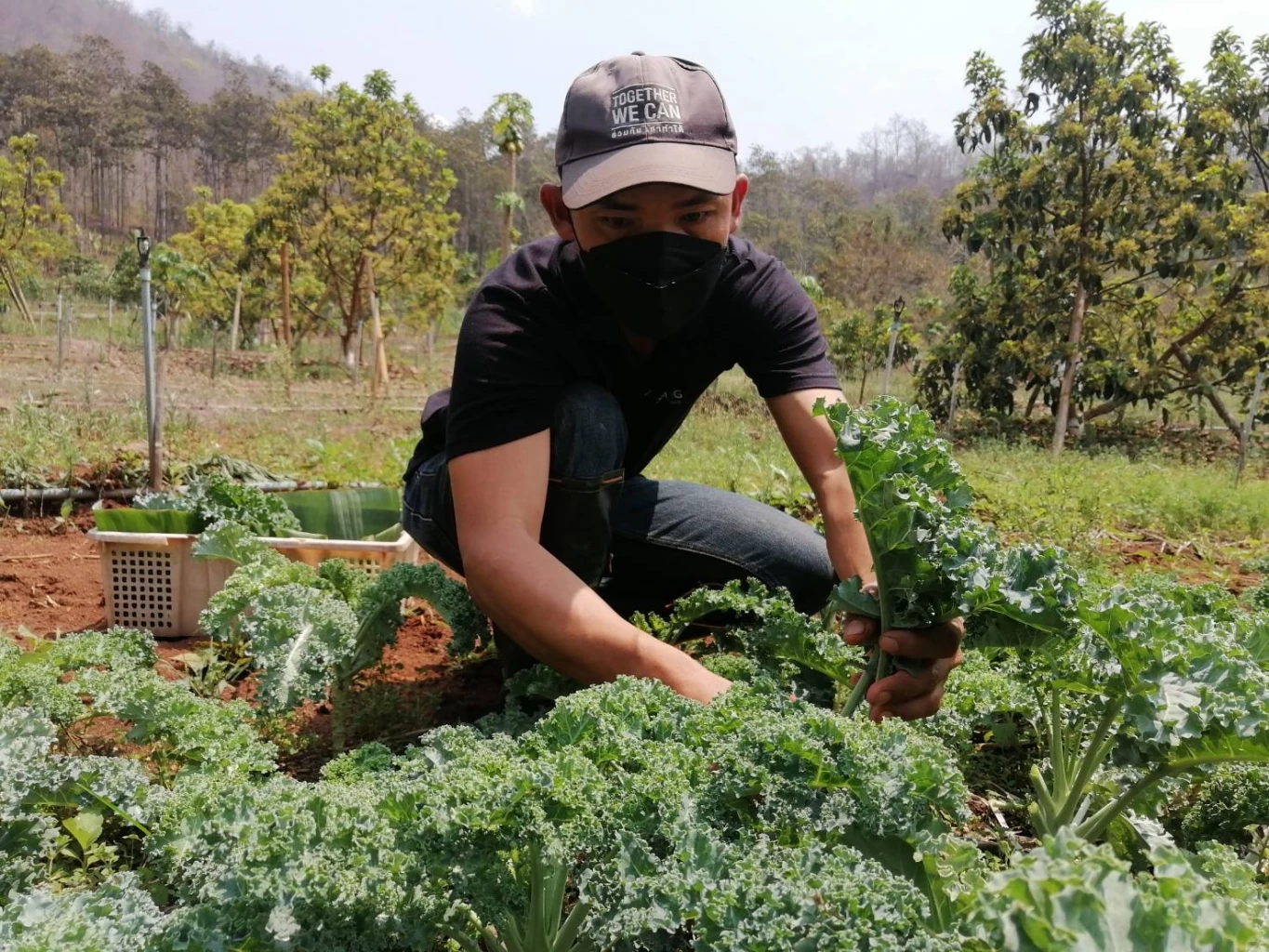 คลายร้อนกับ“ไอติมออแกร์นิก”สร้างรายได้หลักหมื่นต่อเดือน