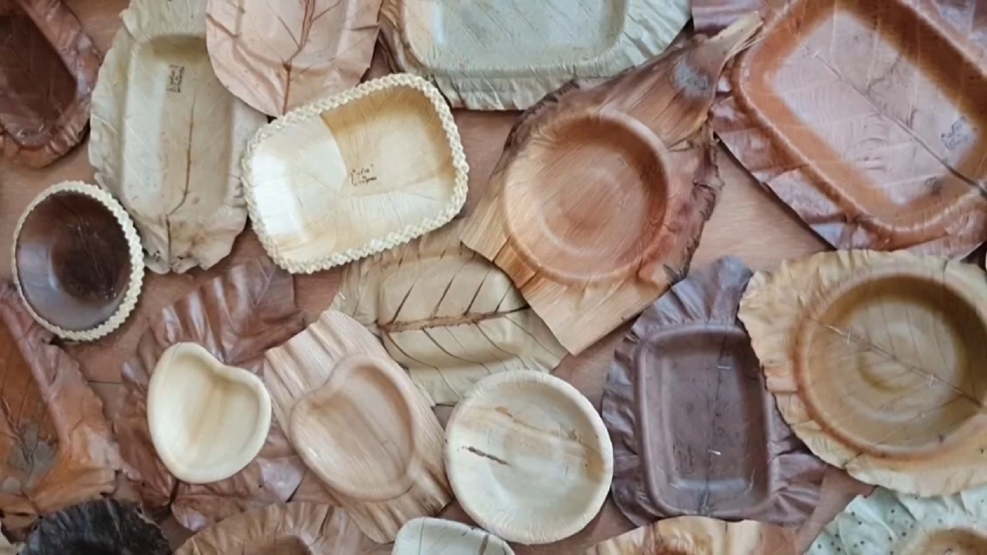 'ใบตองตึง' สร้างรายได้เดือนละหมื่นห้า-แก้ไฟป่า