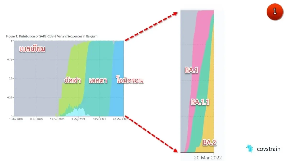 ศูนย์จีโนมฯ เตือนระวังโควิดลูกผสม BA.2-BA.1.1 ล่าสุดพบในเบลเยียม