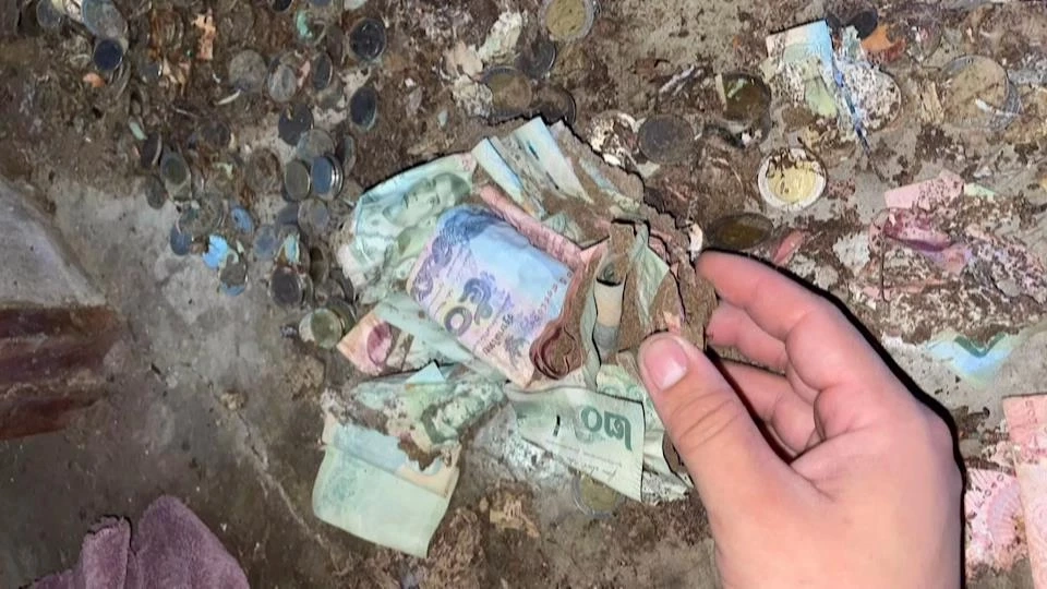 อุทาหรณ์ ปลวกกินเงินเกือบแสนหยอดกระปุกเก็บไว้งานบวชลูก