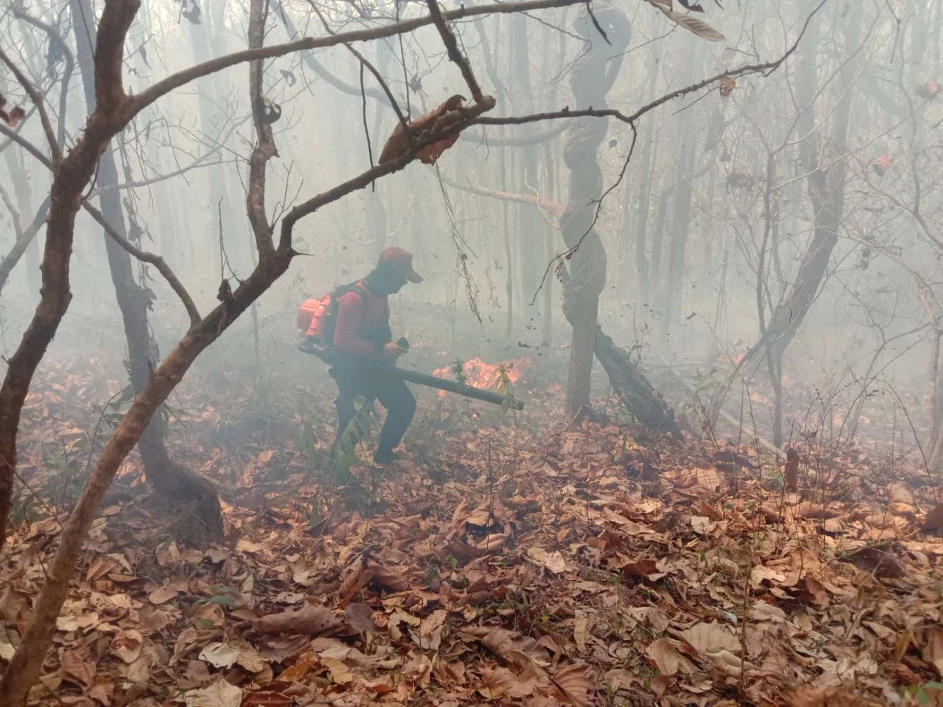 เหยี่ยวไฟ135นายพร้อมรับมือไฟป่าเชียงใหม่
