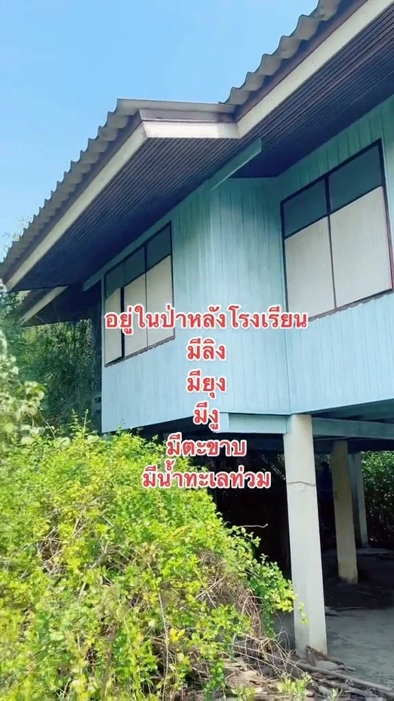 ครูสาวพารีวิว “บ้านพักครู” ที่ไร้คนอาศัยหลายปีสภาพสุดบรรยาย