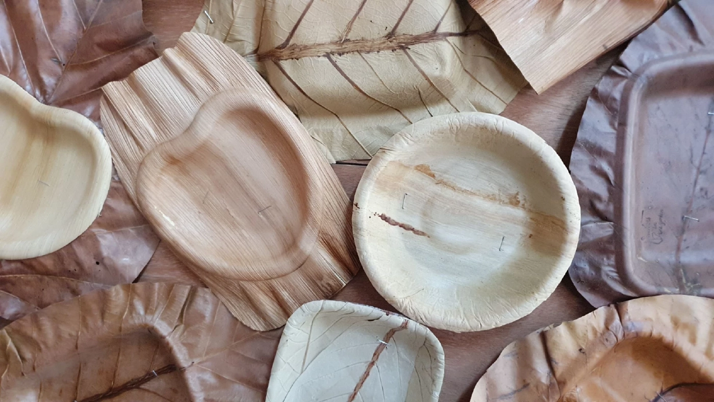 แปรรูป"ใบตองตึง"สร้างรายได้งามลดปัญหาหมอกควัน-ไฟป่า