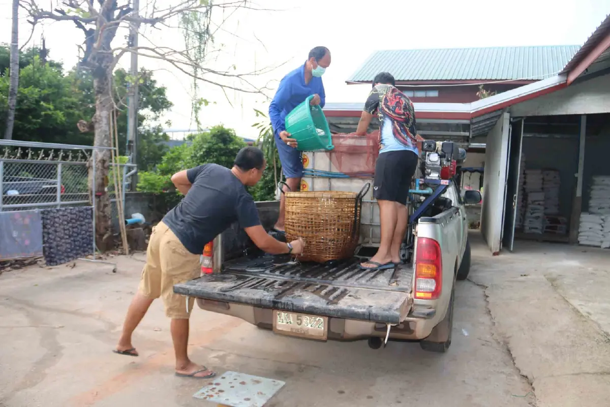 พ่อค้ากุ้งโอดน้ำมันแพงจ่อขึ้นราคาขายส่งช่วงสงกรานต์