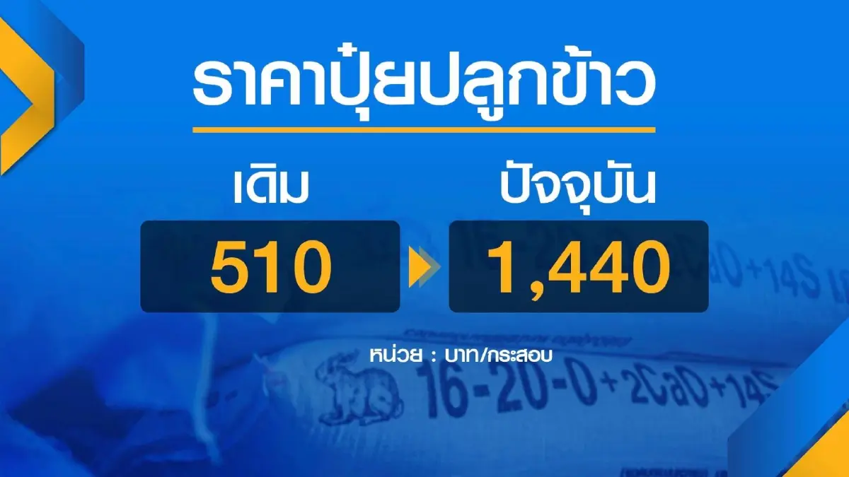 เกษตรกรชี้ปุ๋ยแพงไม่น่ากลัวเท่า 'ขาดตลาด'