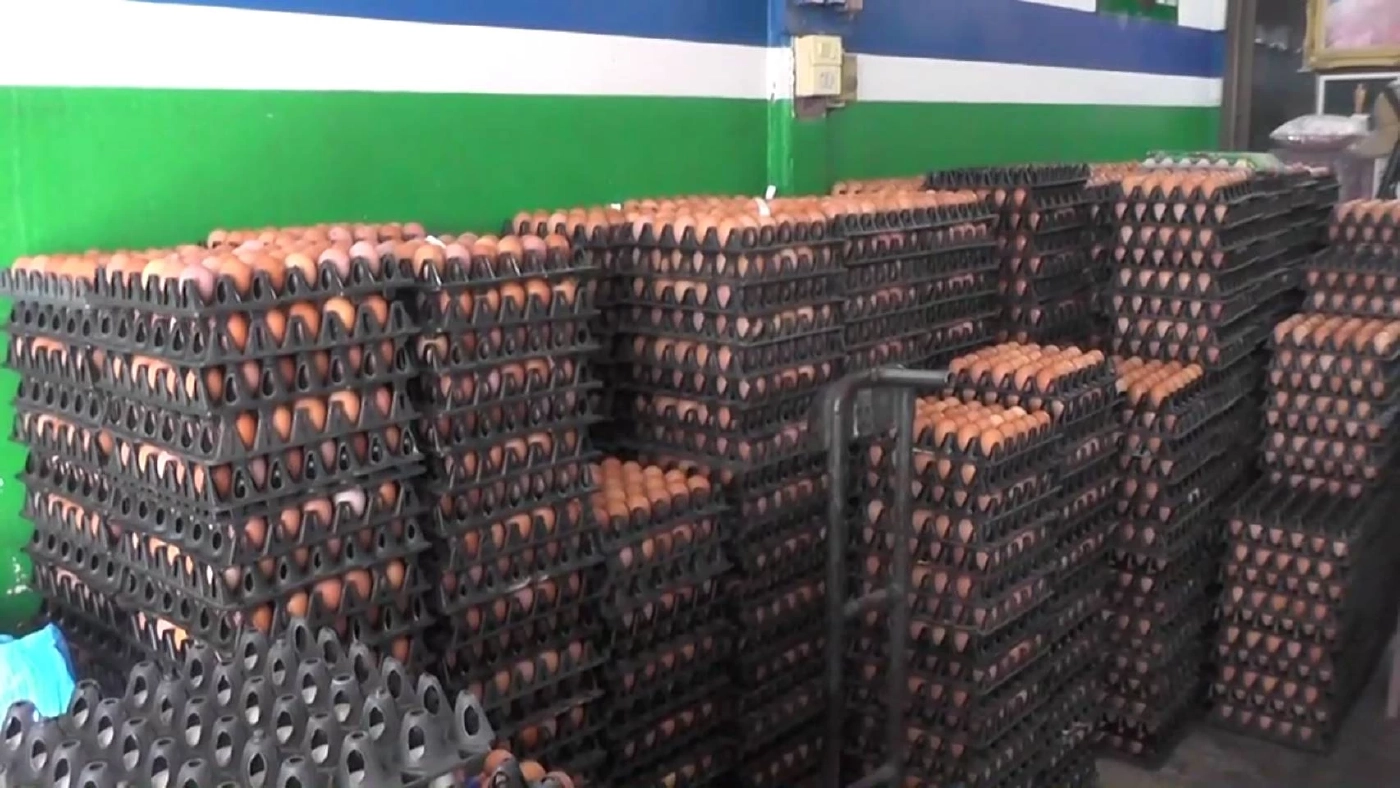 พ่อค้า-ปชช.โอดหนักไข่ไก่ปรับราคาขึ้น เฉลี่ยแผงละ3บาท