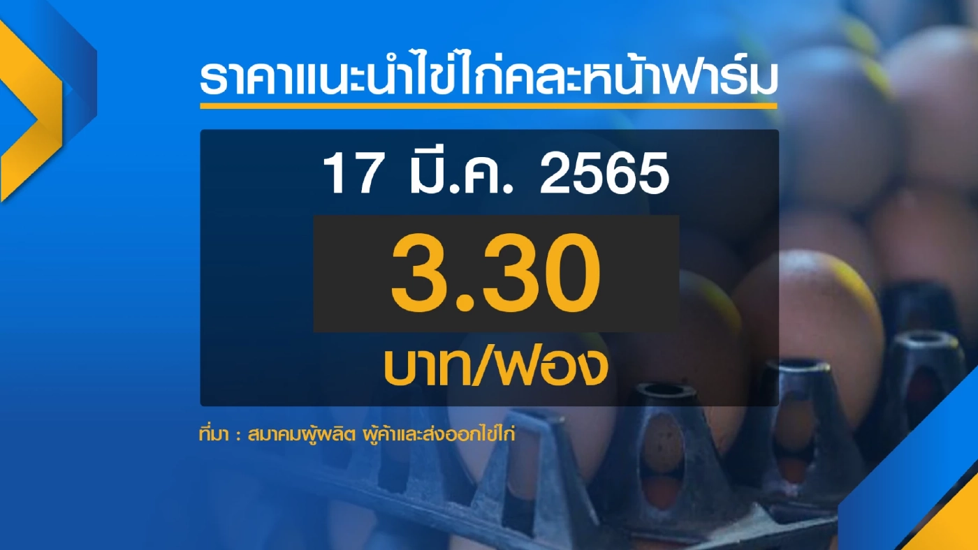 ผู้เลี้ยงไก่ชี้ราคาไข่ 3.30 บาท/ฟอง ไม่คุ้มต้นทุน