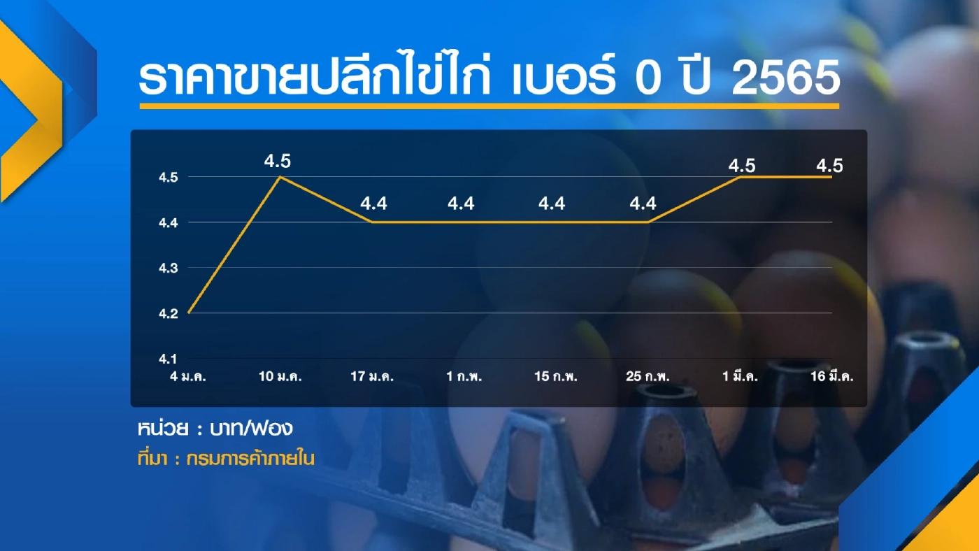 ผู้เลี้ยงไก่ชี้ราคาไข่ 3.30 บาท/ฟอง ไม่คุ้มต้นทุน