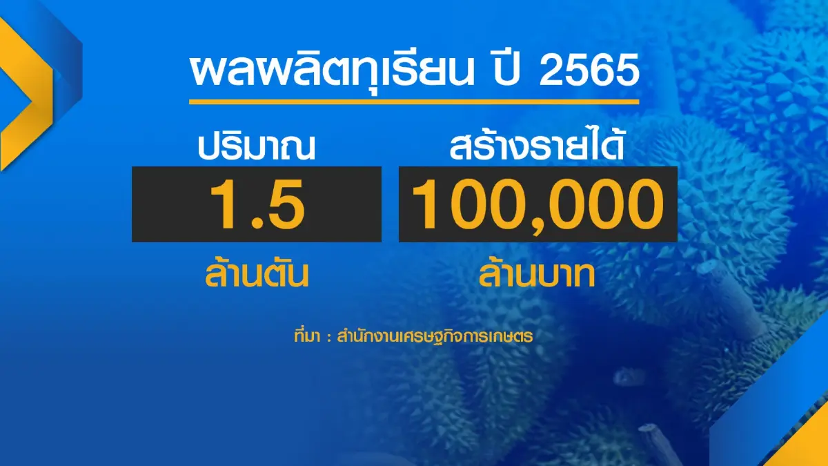 รัฐพร้อมรับมือทุเรียน 'ล้น' หลังส่งออกตลาดจีนสะดุด