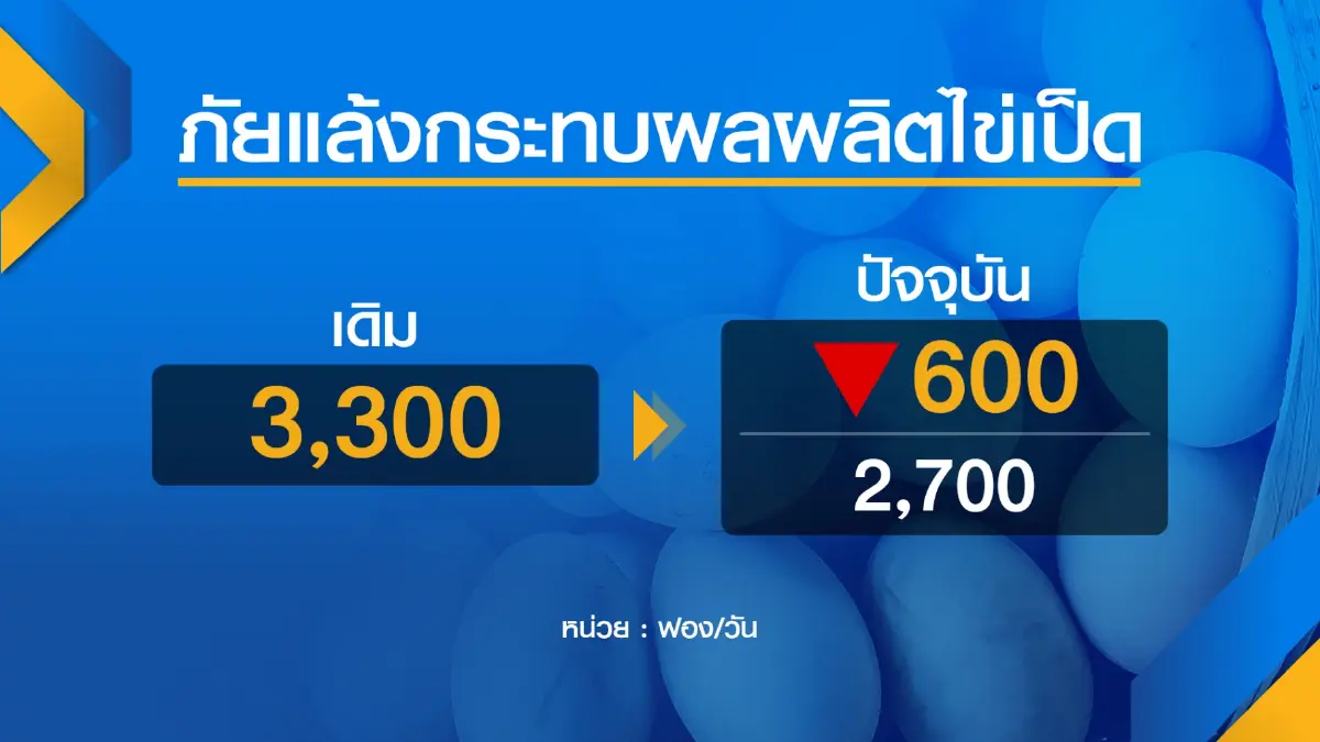 ภัยแล้งกระทบหาแหล่งเลี้ยง 'เป็ดไล่ทุ่ง' ใหม่