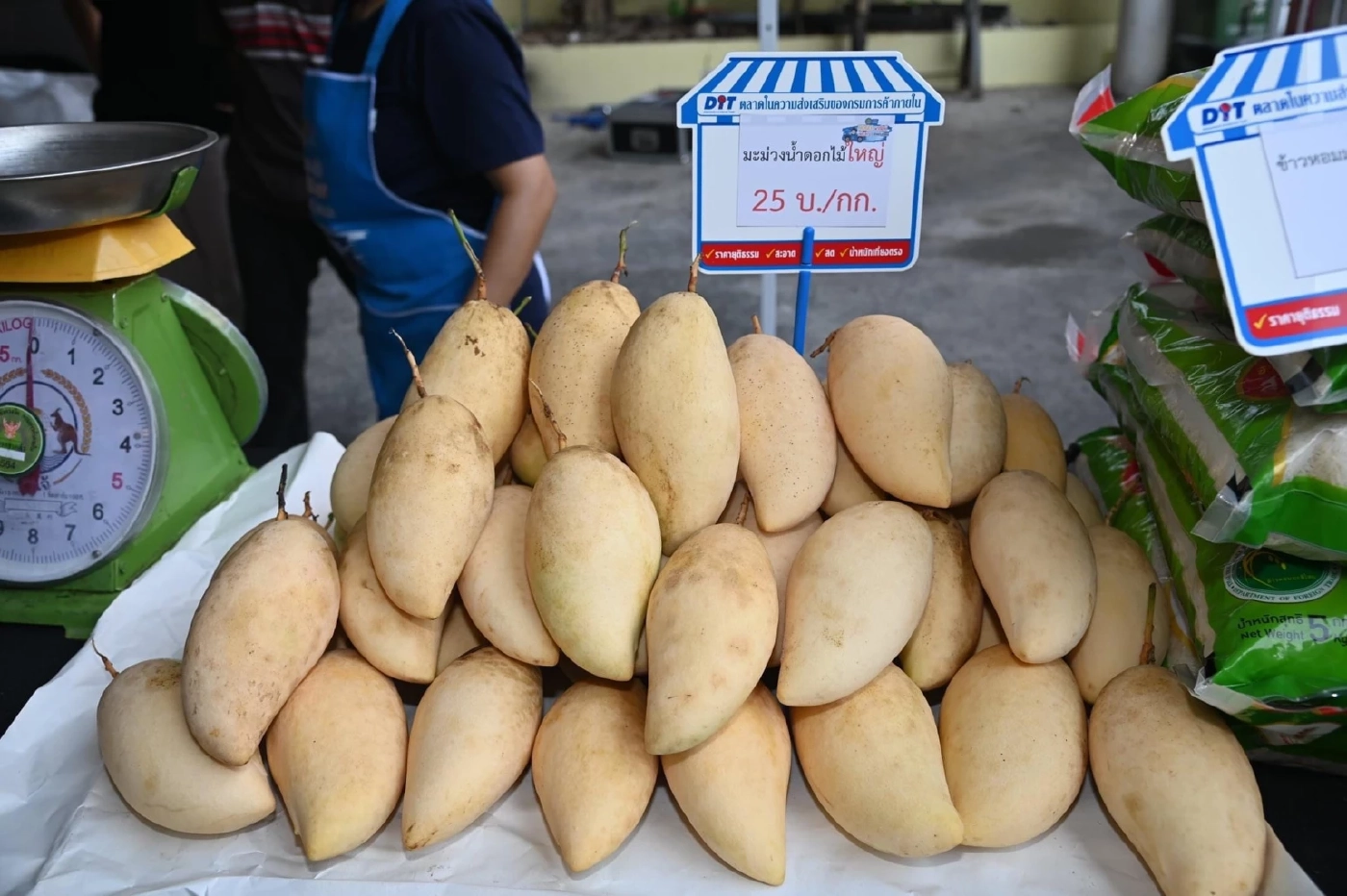 ชาวสวนเฮ กรมการค้าภายในรับซื้อ"มะม่วงฟ้าลั่น"หวังกระจายผลผลิตขายได้ราคา