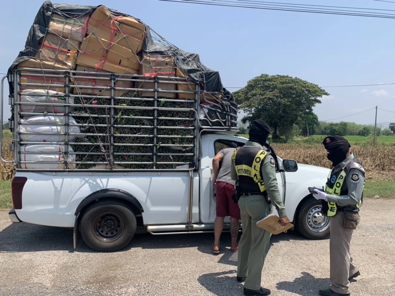 จับนกปรอดหัวจุก 300 ตัว ยัดในลังพบหลายตัวร้อนตาย