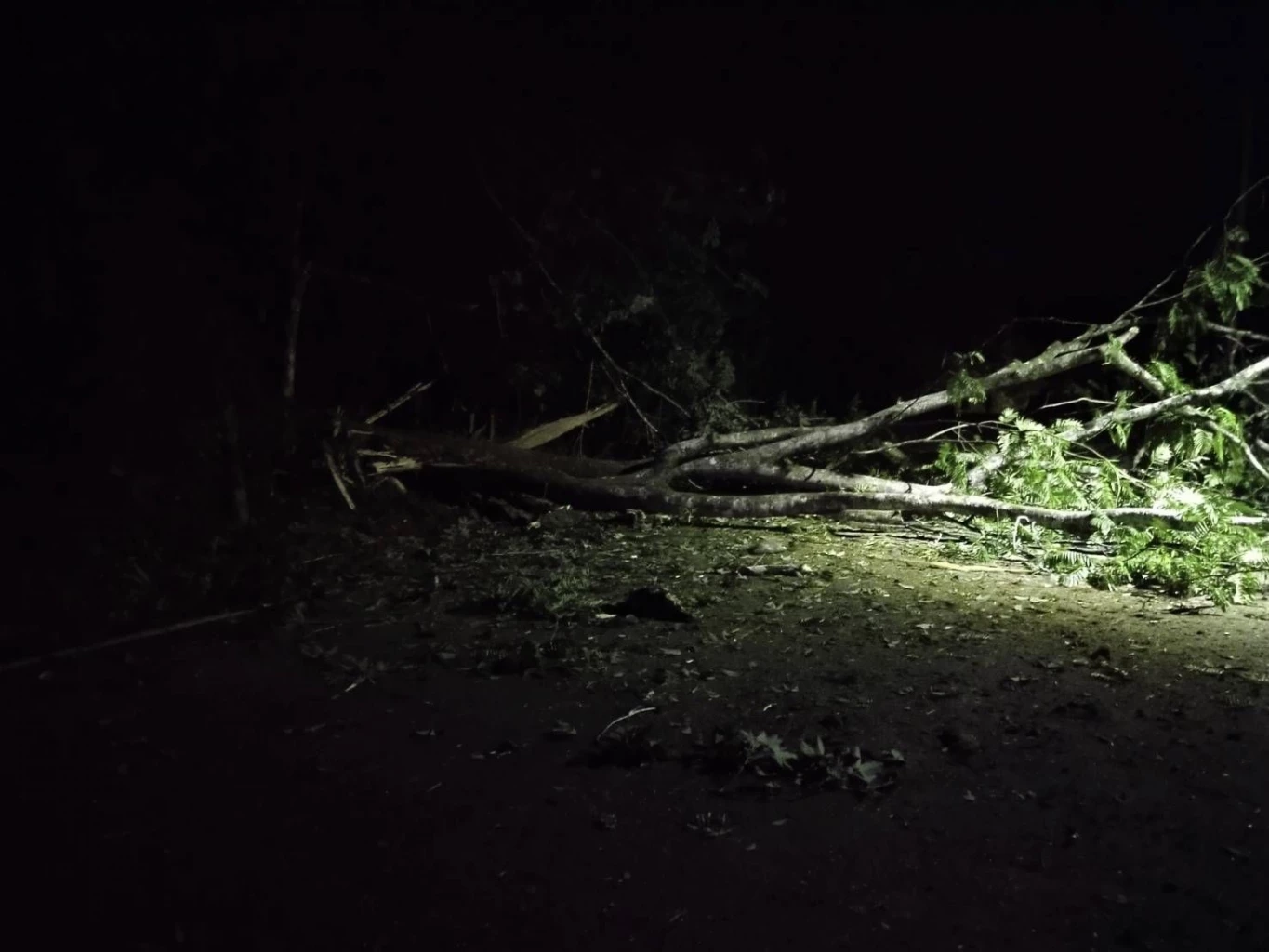 ลอบวางระเบิดสร้างสถานการณ์ชายแดนใต้