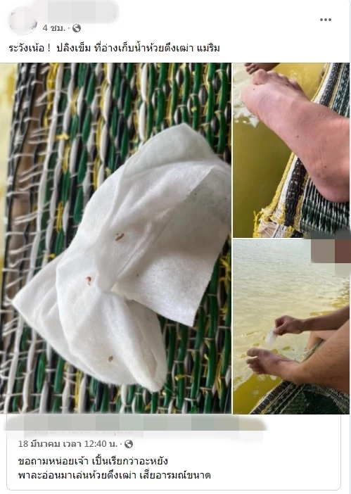 "ห้วยตึงเฒ่า"นำสารส้มไล่หนอนน้ำยันไม่อันตราย