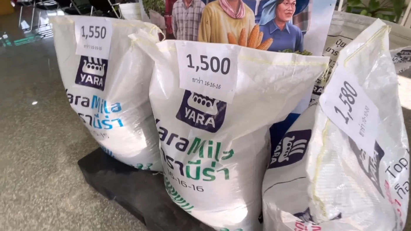 ชาวสวนปรับตัวสู้ปุ๋ยแพง ซื้อแม่ปุ๋ยผสมสูตรเอง