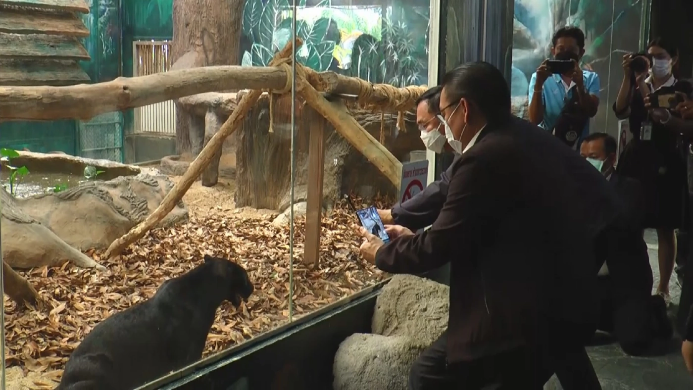 อัดฉีด160 ล. ปรับโฉมเชียงใหม่ไนท์ซาฟารี