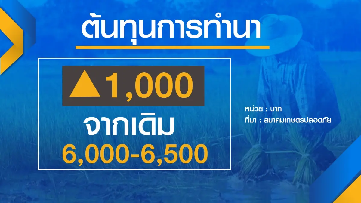 เกษตรกรชี้ปุ๋ยแพงไม่น่ากลัวเท่า 'ขาดตลาด'