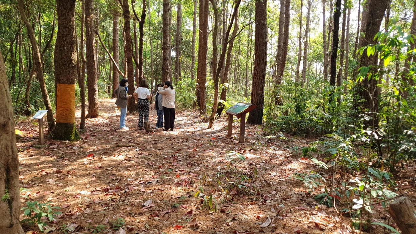 "ซีพีเอฟ"มอบเครื่องเป่าลมเสริมภารกิจดับไฟป่าพื้นที่ดอยอินทนนท์