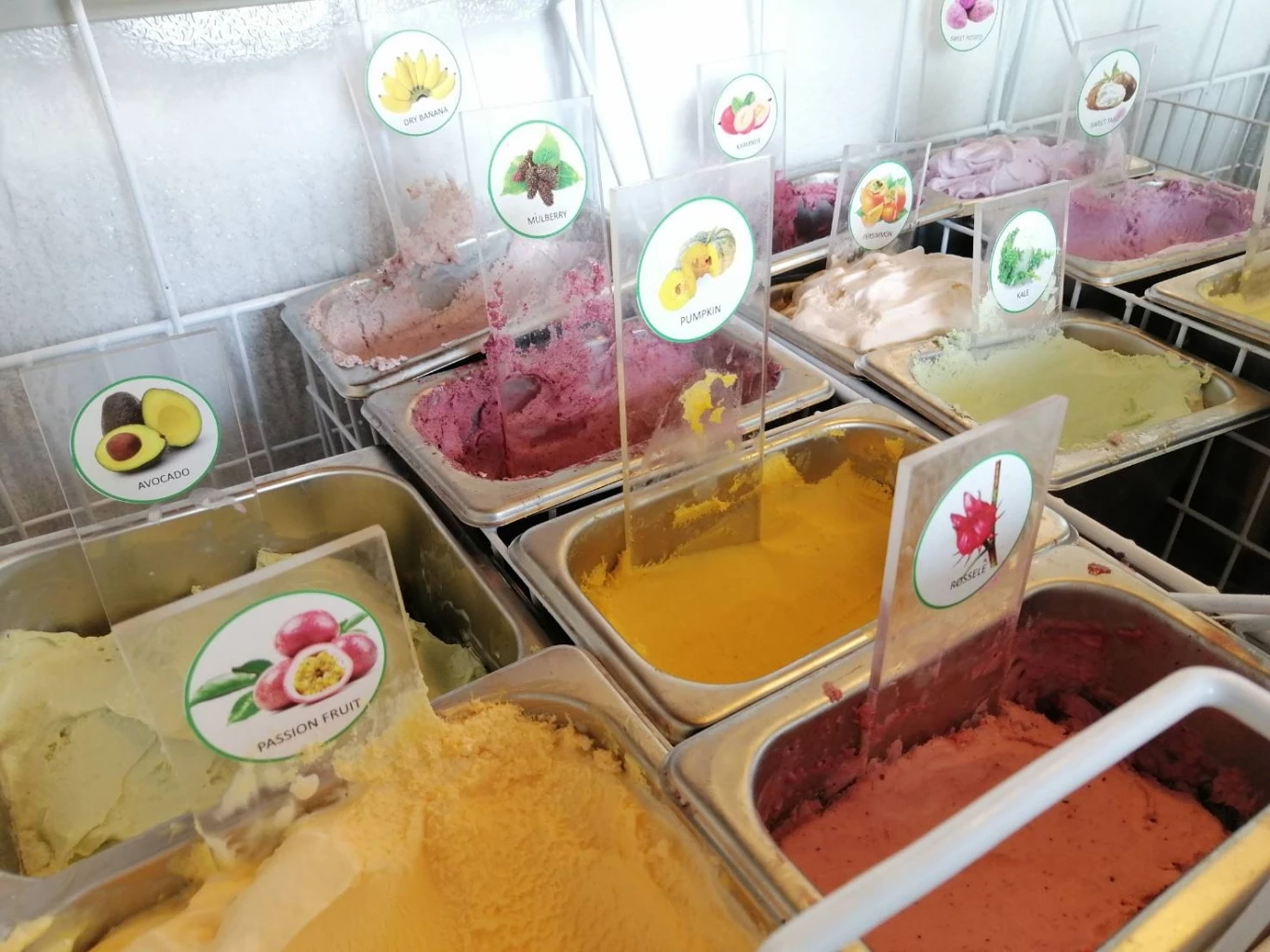 คลายร้อนกับ“ไอติมออแกร์นิก”สร้างรายได้หลักหมื่นต่อเดือน