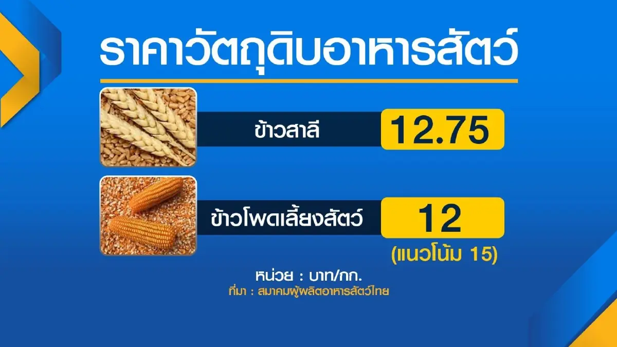 'จุรินทร์' ยันยังไม่อนุมัติผู้ผลิตปรับขึ้นราคาสินค้า