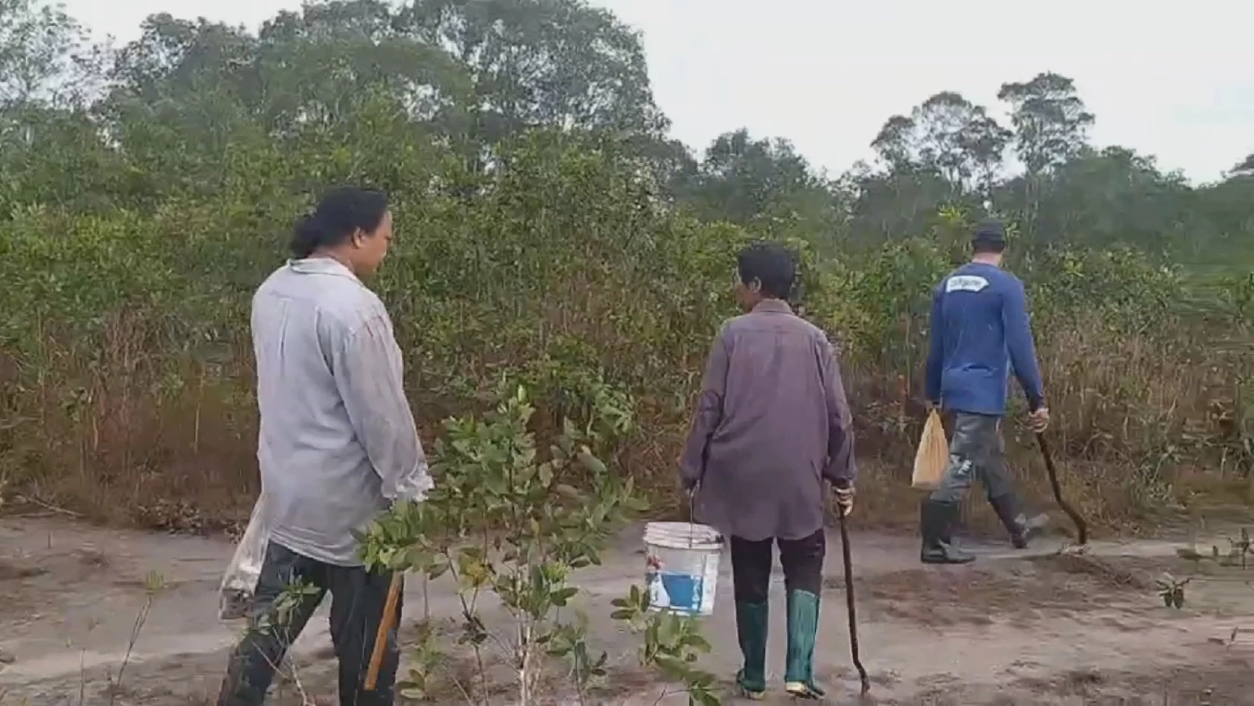 ชาวบ้านแห่เก็บ "เห็ดเหม็ด" รายได้พุ่งวันละ 1,000 บ.