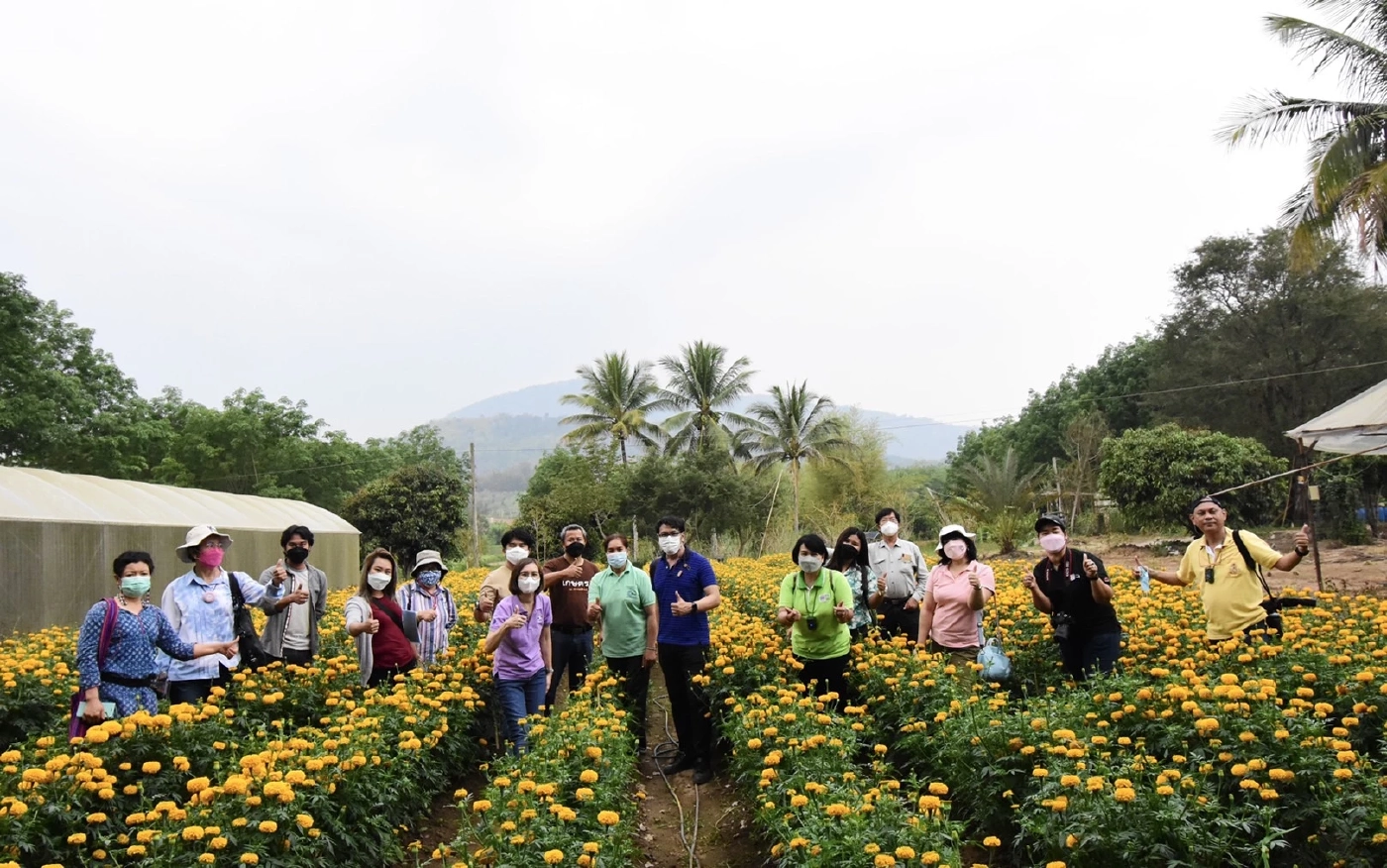 วช. ส่งเสริมการปลูกไม้ดอกไม้ประดับ เพื่อประโยชน์เชิงพาณิชย์