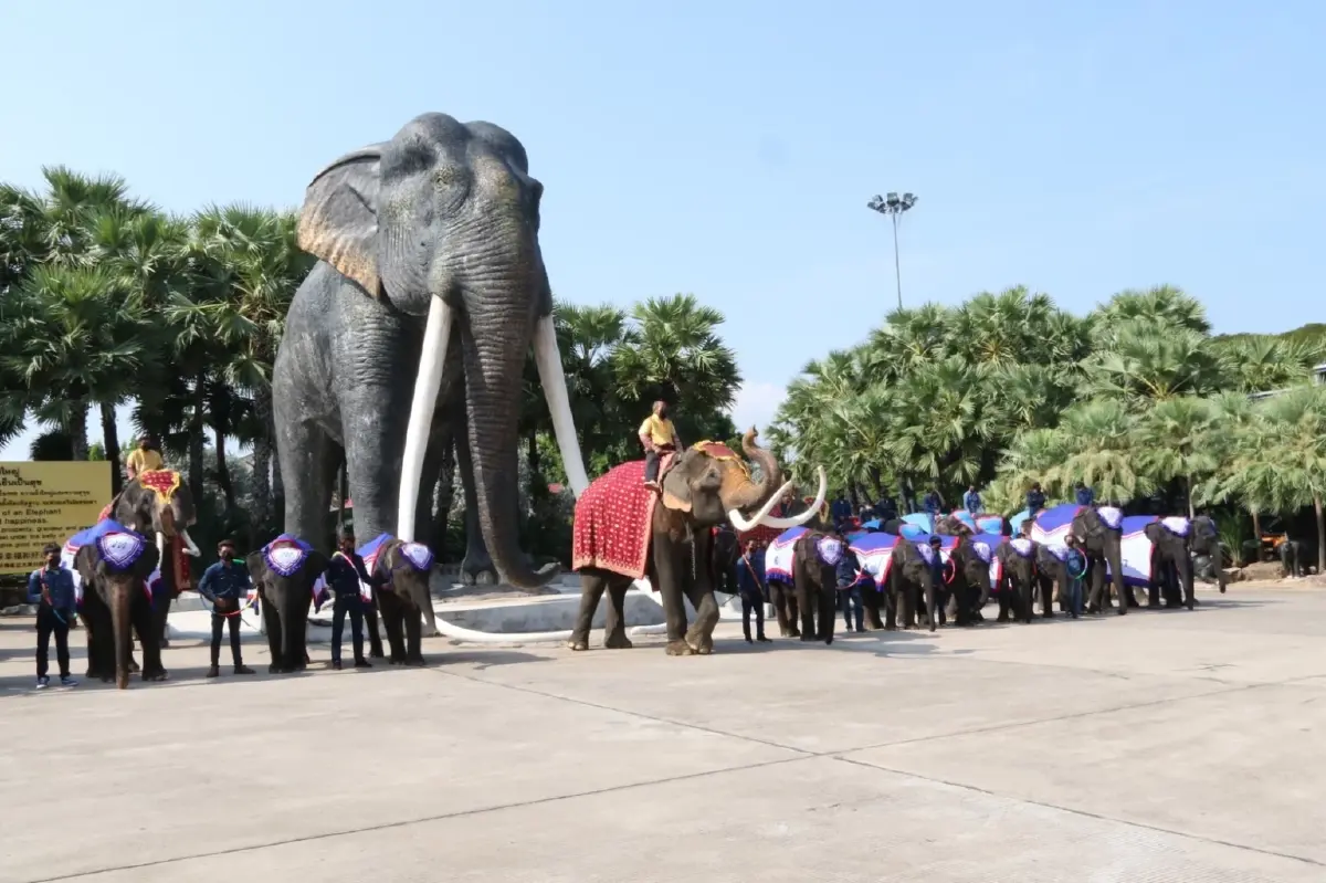 ปางช้างสวนนงนุชพัทยา ได้รับมาตรฐาน มกษ.แห่งแรกในประเทศไทย จากกระทรวงเกษตรและสหกรณ์