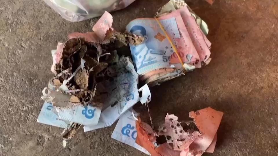 อุทาหรณ์ ปลวกกินเงินเกือบแสนหยอดกระปุกเก็บไว้งานบวชลูก