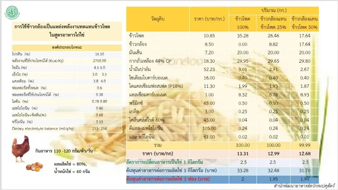 "รัสเซีย-ยูเครน"สู้รบ กระทบอาหารสัตว์ ปศุสัตว์ร่วมถกหาแนวทางพร้อมรับมือ