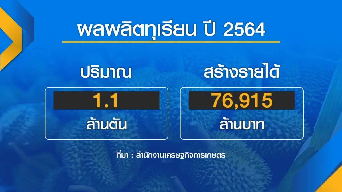 รัฐพร้อมรับมือทุเรียน 'ล้น' หลังส่งออกตลาดจีนสะดุด