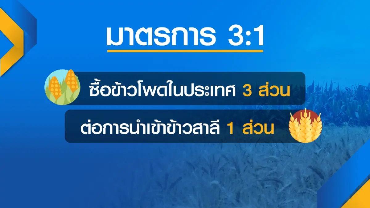 ลุ้นบอร์ดข้าวโพดเคาะยกเลิกมาตรการ 3:1