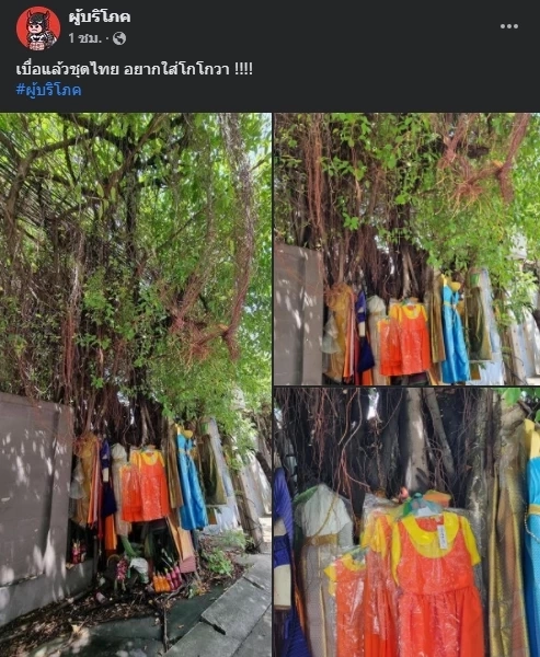 เบื่อแล้วชุดไทย เพจดังแชร์ภาพคนแห่ถวาย “ชุดโกโกวา” แก้บนเต็มต้นไทร