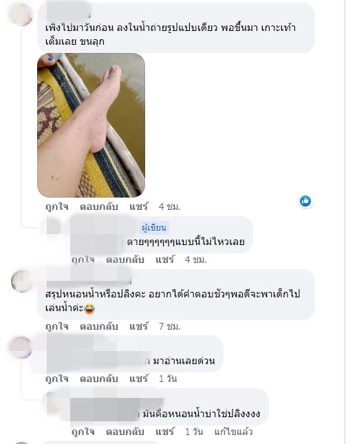 "ห้วยตึงเฒ่า"นำสารส้มไล่หนอนน้ำยันไม่อันตราย
