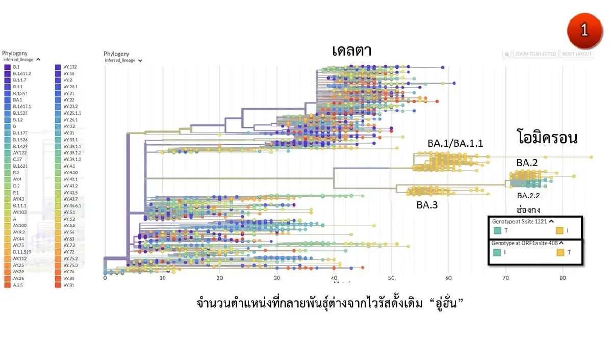 ภาพที่ 1