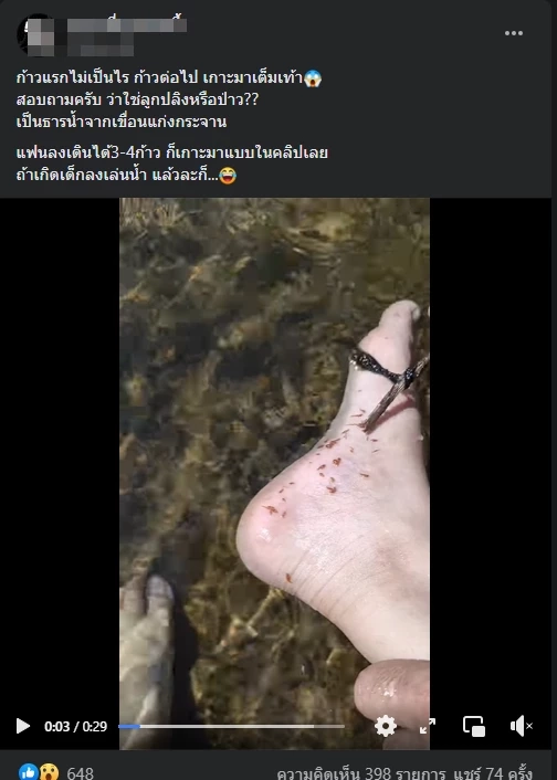 สาวลงเล่นน้ำถูกสิ่งมีชีวิตปริศนาจำนวนมากรุมเกาะ