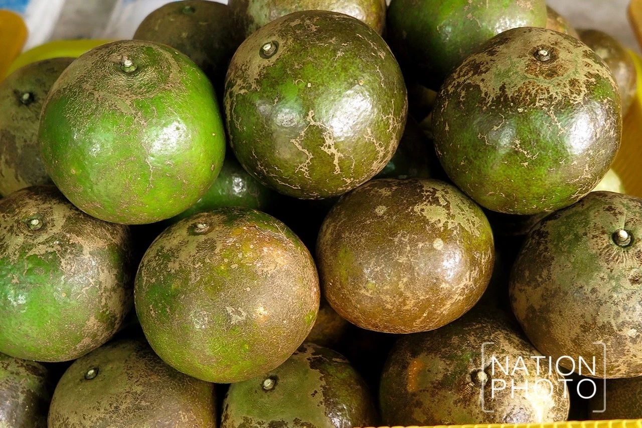 "ส้มโชกุนคู่เบตง" ความอร่อยอยู่ยั่งยืนยงฐานความมั่นคงให้เบตงยังโอเคเสมอ