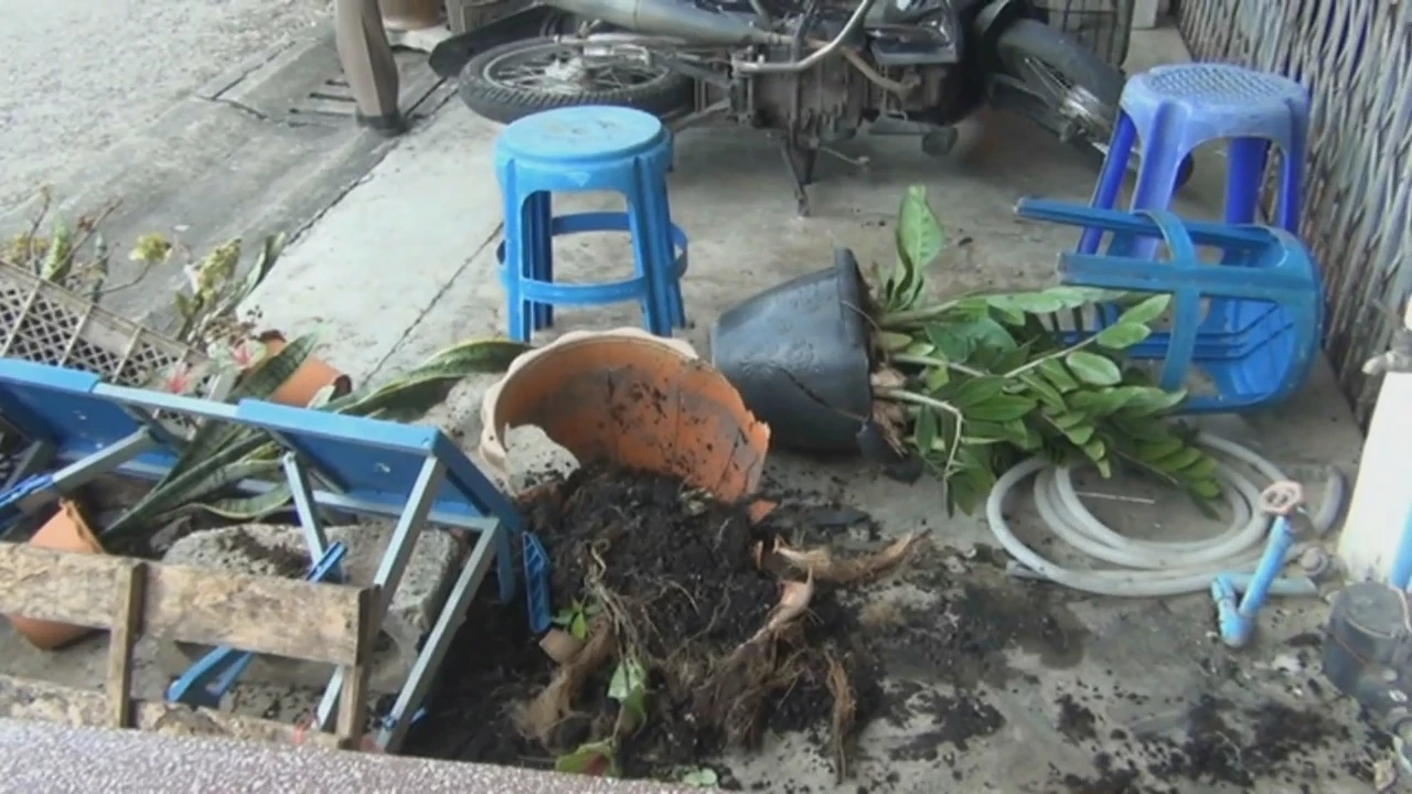 โจ๋หัวร้อนทวงเงิน 120 บ.แทงเพื่อนเจ็บเย็บ 30 เข็ม