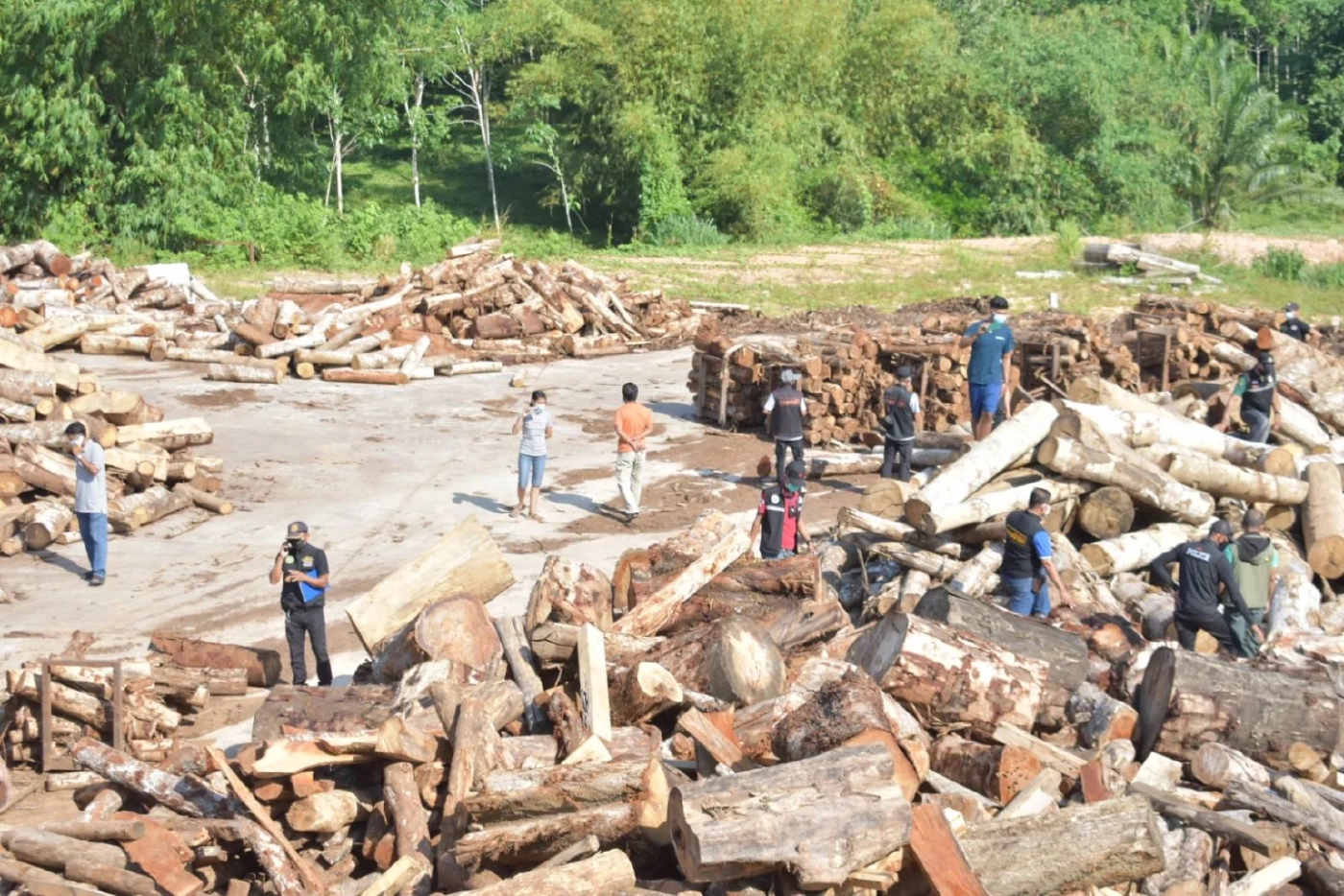 บุกยึดโรงงานแปรรูปไม้