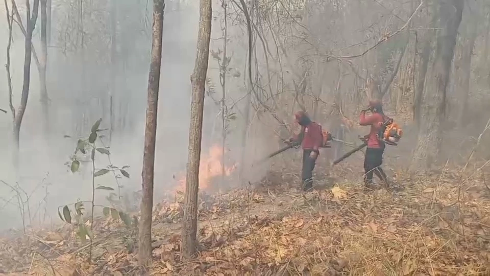 เหยี่ยวไฟ135นายพร้อมรับมือไฟป่าเชียงใหม่