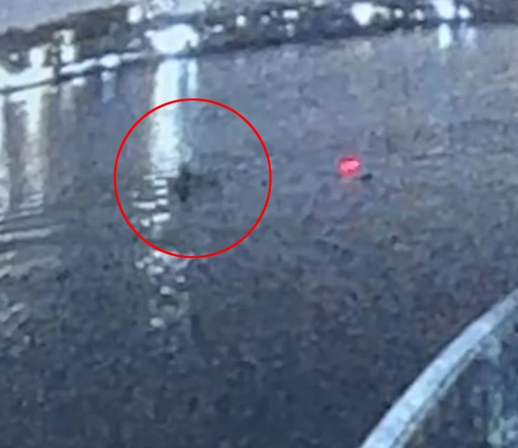 "เต้ มงคลกิตติ์" ยอมขอโทษ "ลุงหาปลา" ทำเข้าใจผิดปมวงจรปิดขอนไม้