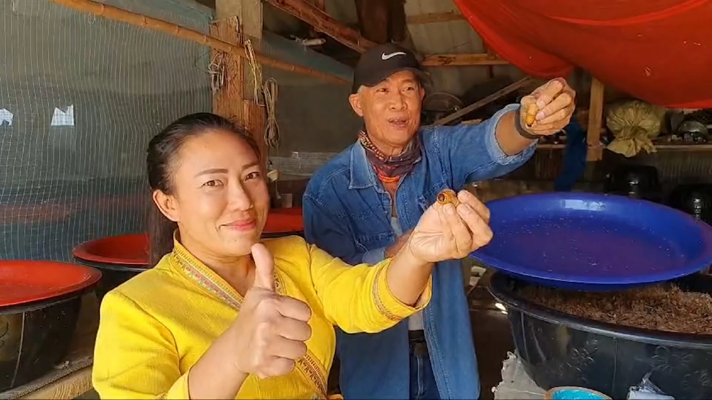 ชาวบ้านเฮ 'ด้วงมะพร้าว' ราคาพุ่ง 2 พันบาท/กิโลกรัม