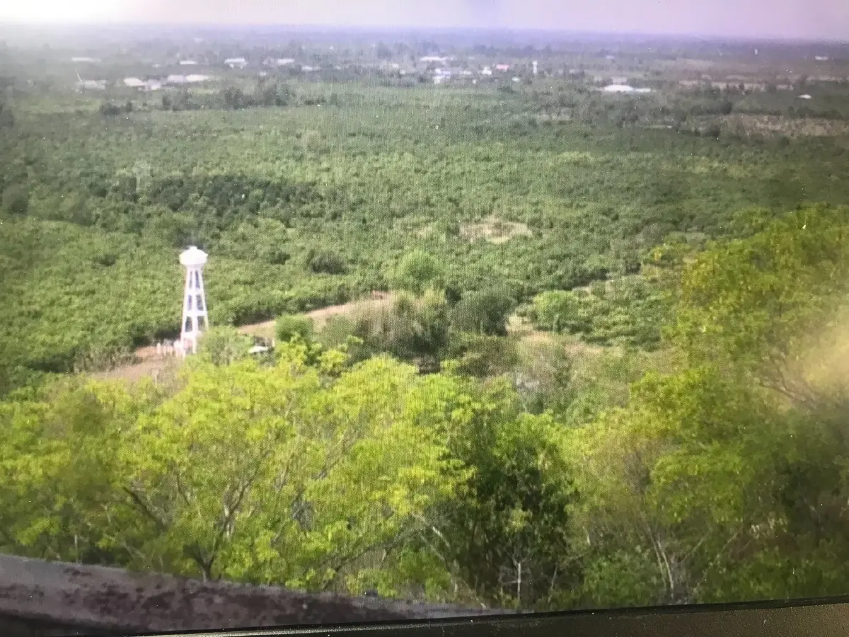 พิษโควิดคาดปีนี้ส่งออกมะม่วงพิจิตรรายได้หายไปกว่า 100 ล.