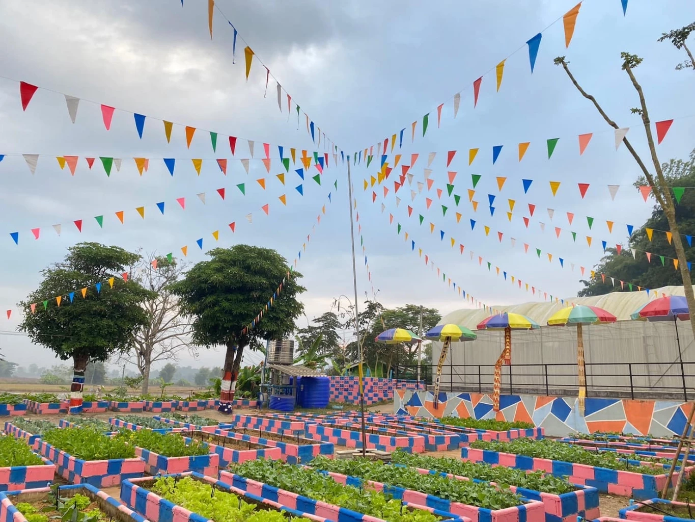 ขอบคุณภาพจาก เพจ โรงเรียนราชประชานุเคราะห์ 15 - เวียงเก่าแสนภูวิทยาประสาท