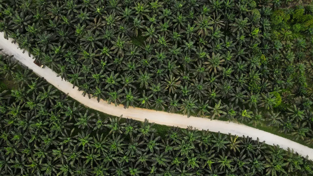 วิกฤตอาหารราคาแพง ลูกค้าหายเพราะจ่ายไม่ไหว