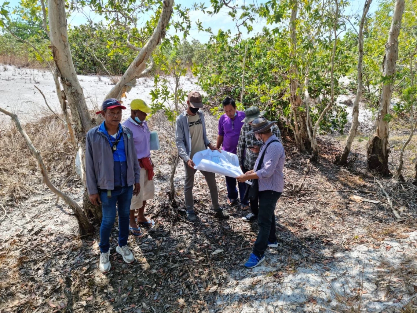 กรมชลประทานและเจ้าหน้าที่จังหวัดลงพื้นที่เกาะพระทอง จ.พังงา สำรวจข้อเท็จจริงรุกป่าชายเลนหรือไม่ 