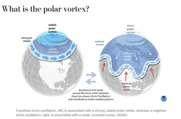 หนาวในฤดูร้อนเป็นเหตุ ทำผีเสื้อในเขตทุ่งใหญ่นเรศวร ตายเกลื่อน
