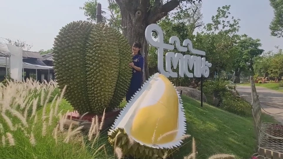 แข่งกินส้มตำทุเรียนชิงรางวัลทุเรียน10 กิโลกรัม