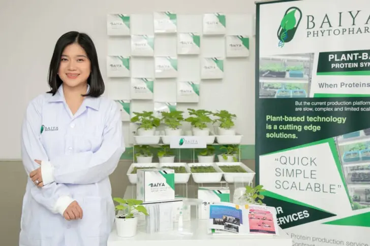 เดินหน้าพัฒนา "วัคซีนใบยา" รัฐบาลอนุมัติระยะ 2a สนับสนุนงบฯ 211 ล้านบาท